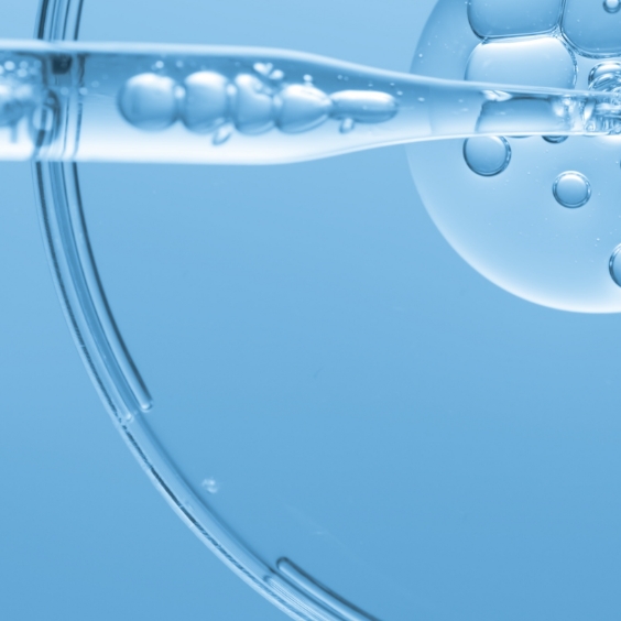 Featured image for “Formulation Studies”