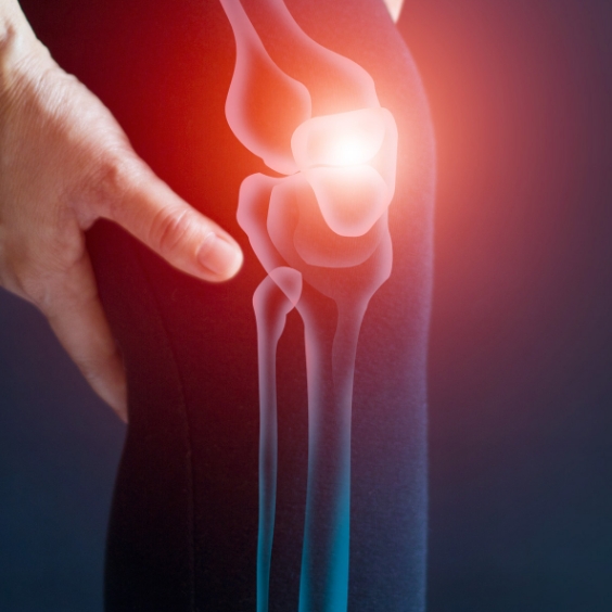 Featured image for “Inflammation”